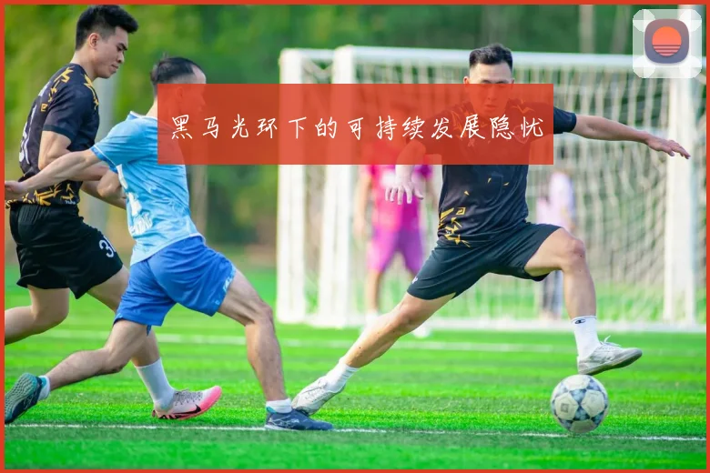 黑马光环下的可持续发展隐忧