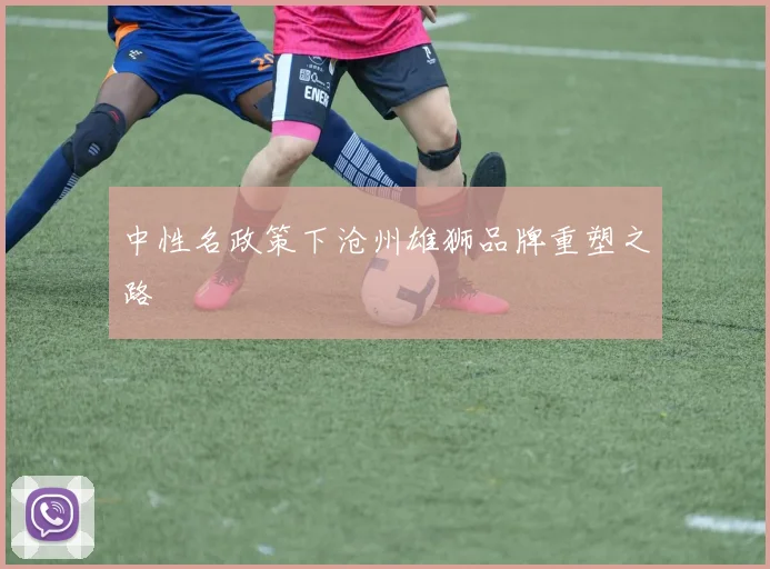 中性名政策下沧州雄狮品牌重塑之路