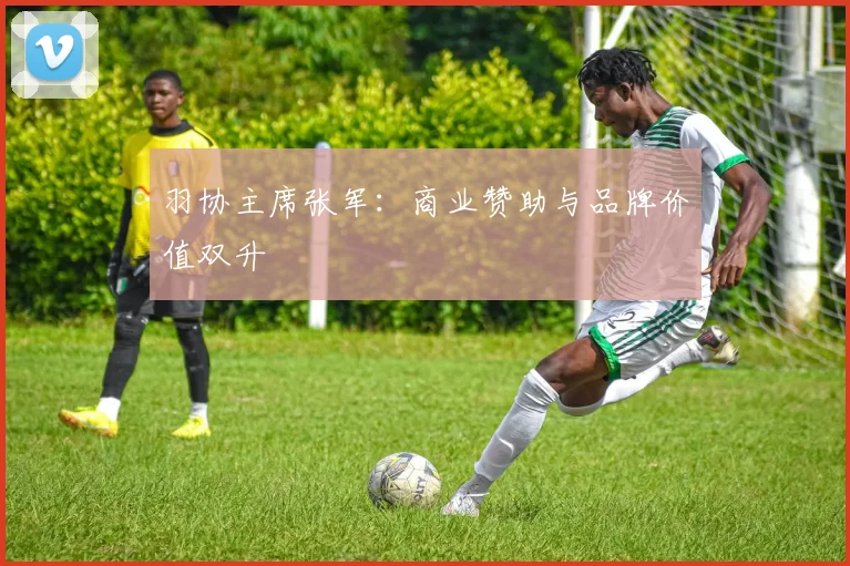 羽协主席张军：商业赞助与品牌价值双升