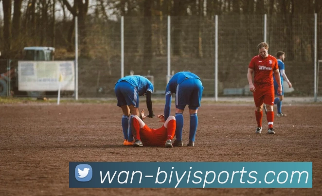 必一体育平台生态图